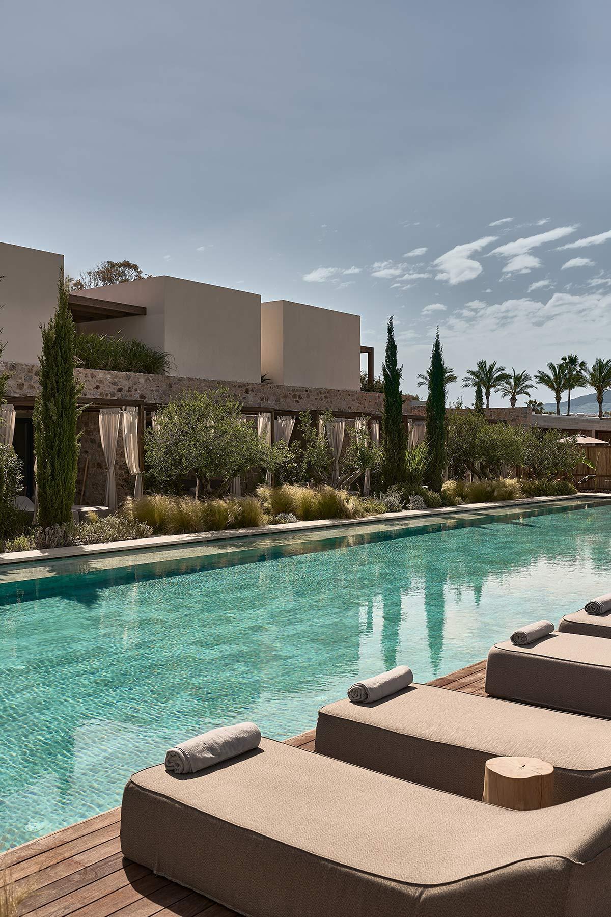 Sharing Pool Suite - 37 m²