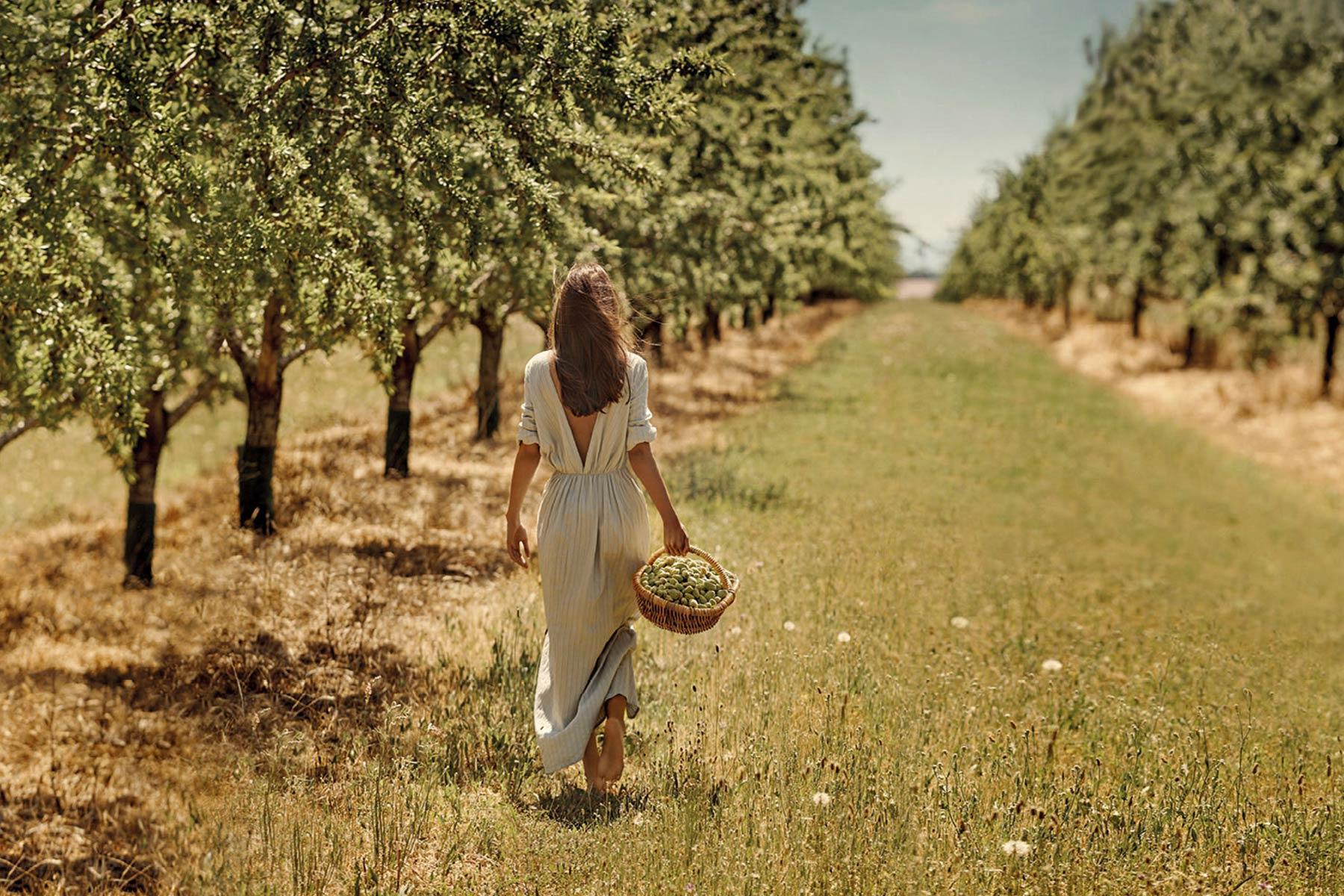 Sustainable Hospitality in Kos Island